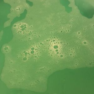 Meet your Posher, Gina